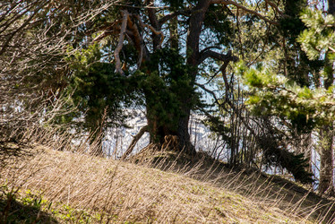 Similar image 19793612