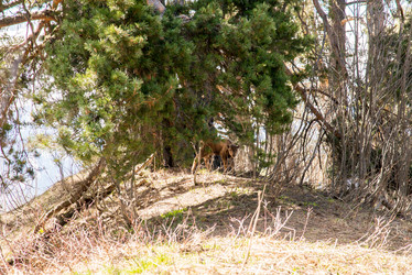 Similar image 19793625