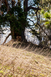 Similar image 19793626