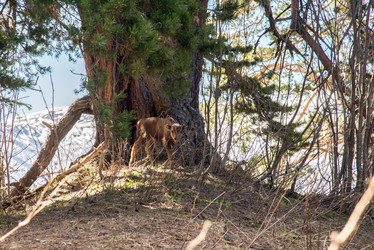 Similar image 19793627