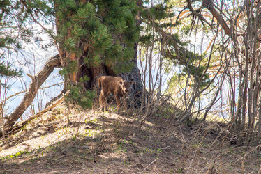 Similar image 19793628