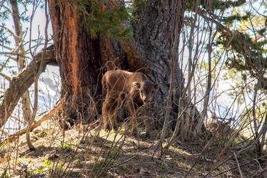 Similar image 19793629