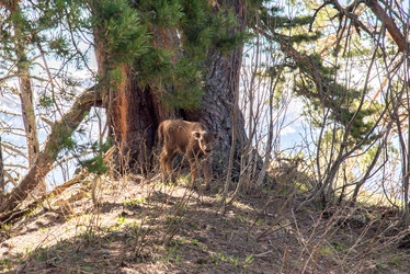 Similar image 19793630