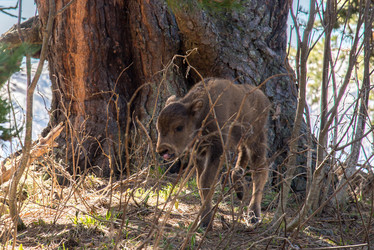 Similar image 19793644