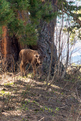 Similar image 19793660