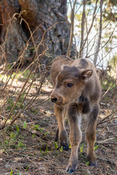 Similar image 19793662