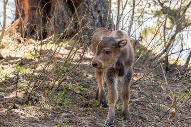 Similar image 19793680