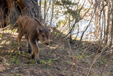 Similar image 19793681