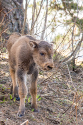 Similar image 19793696