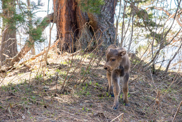 Similar image 19794800