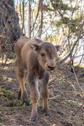 Similar image 19794801