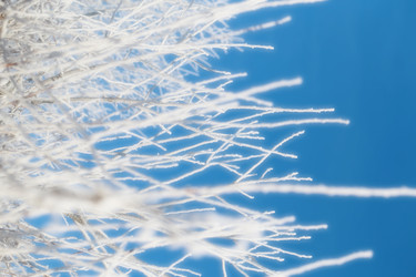 Similar image 19200998