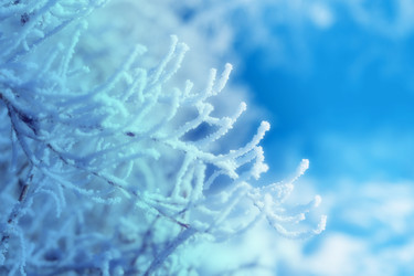 Similar image 19201027