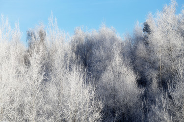 Similar image 19201051