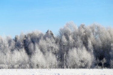 Similar image 19201054