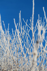 Similar image 19201060