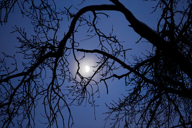 Similar image 19200907