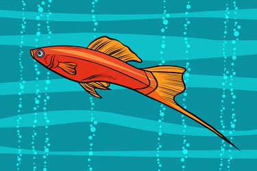 Similar image 19559924