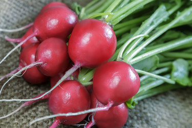 Similar image 19200532