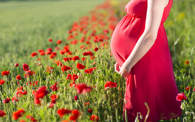 Similar image 19556888