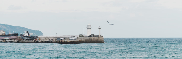 Similar image 19556222