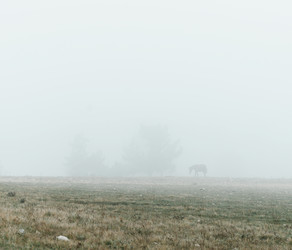 Similar image 19556234