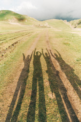 Similar image 19556240