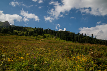 Similar image 19794836