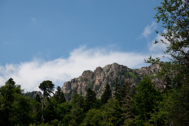 Similar image 19794850