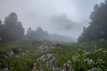 Similar image 19794852