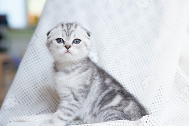 Similar image 19794785