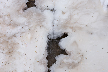 Similar image 19794817