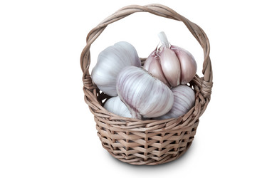 Similar image 19200441