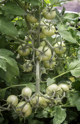 Similar image 19200444