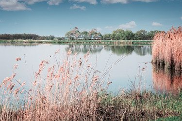 Similar image 19200533