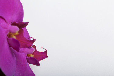 Similar image 19774362