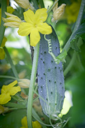 Similar image 19200491