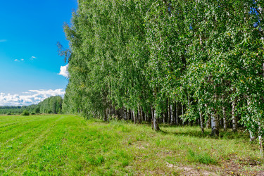 Similar image 19195615