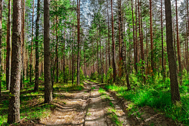 Similar image 19195972