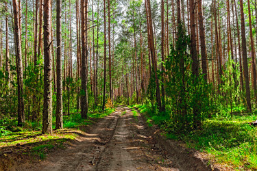 Similar image 19195973