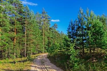 Similar image 19195991