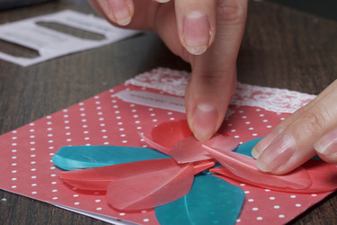 Similar image 19774501