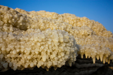 Similar image 19202088