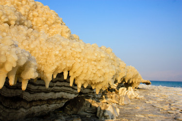 Similar image 19202089