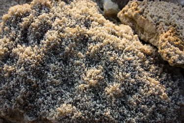 Similar image 19202057