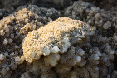 Similar image 19202058