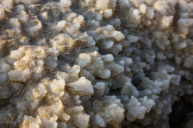 Similar image 19202059