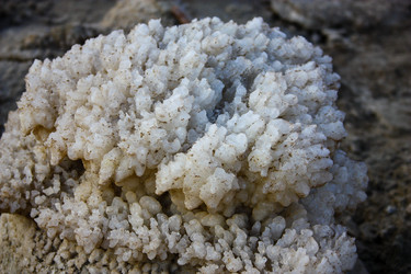 Similar image 19202078