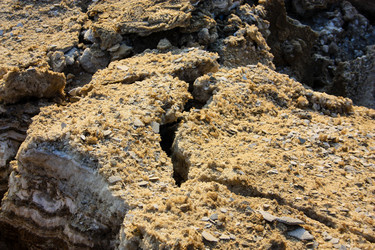 Similar image 19202096