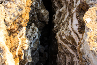 Similar image 19202105